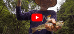 Man holding a fish with the Youtube logo on top.