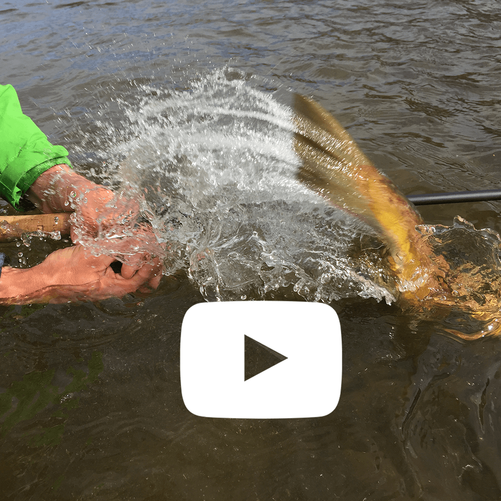 Person catching a fish with the Youtube logo on top.