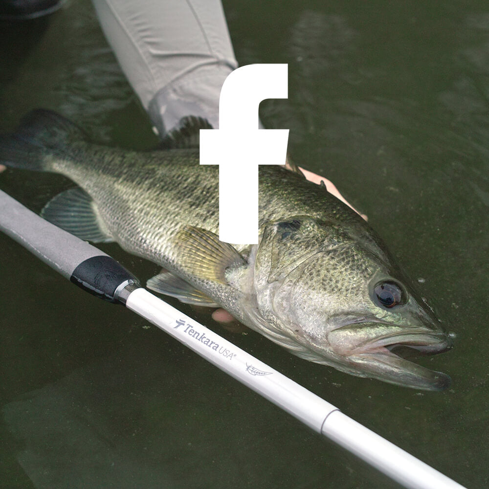 Large fish with the Facebook logo on top.